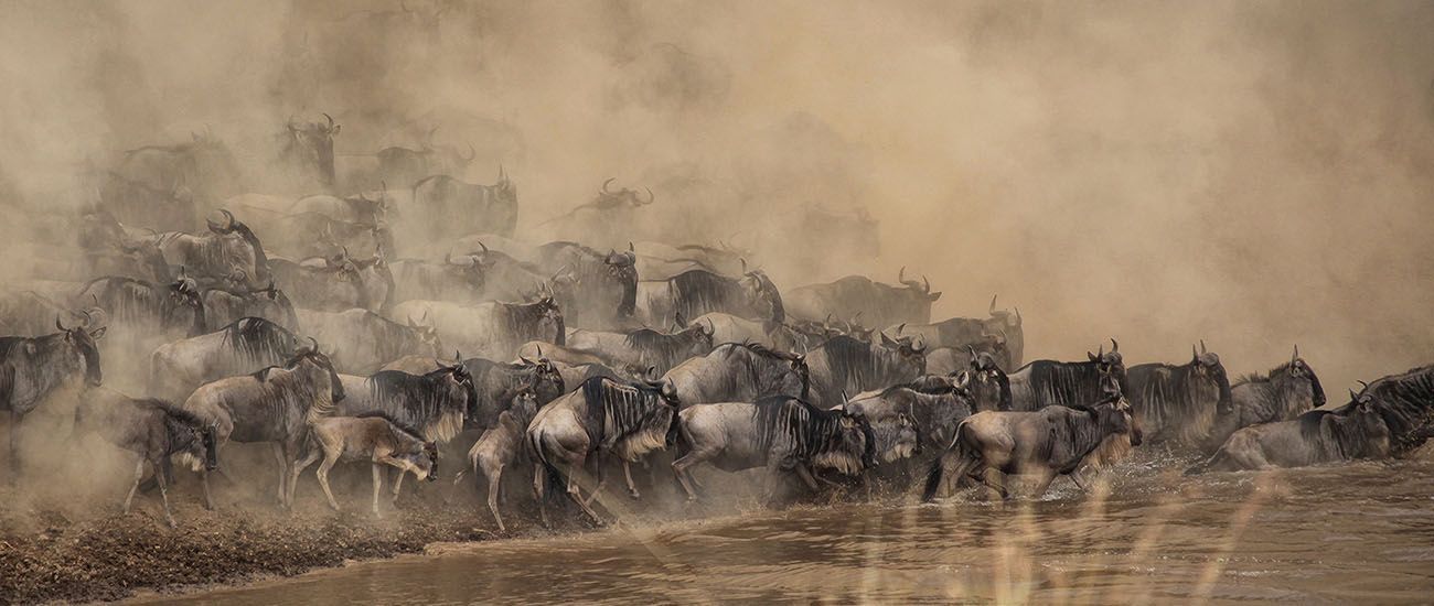 Plain Wings Tours and Safaris