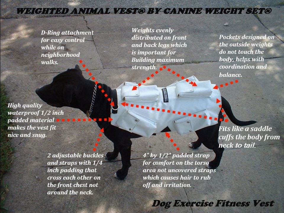 CANINE WEIGHT SET®