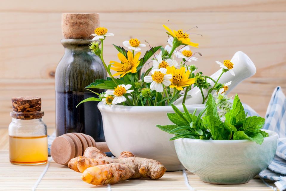 Kalptaru Herbal Therapy Centre