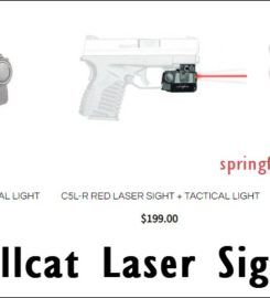 Springfield Laser