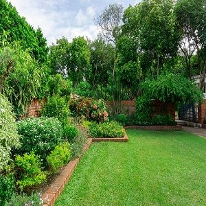 Lawn and Landscaping Pros, St. Pete, FL