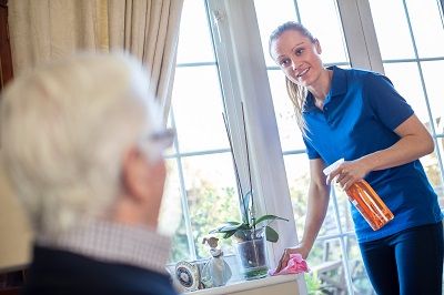 local expert cleaning