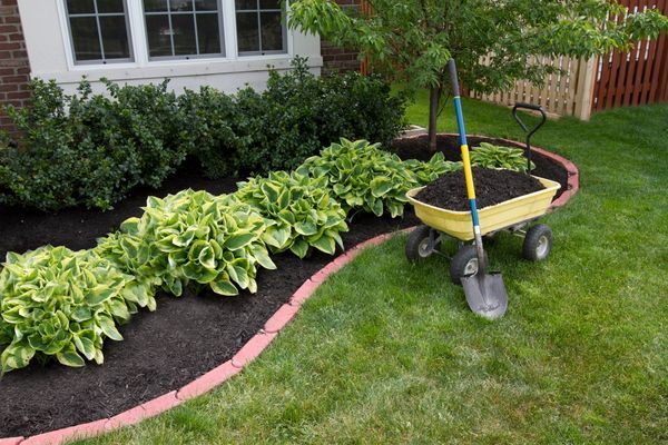 Cedano Landscape LLC