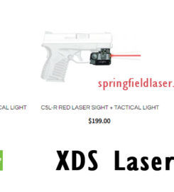 Springfield Laser