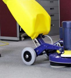 Healthy Home Carpet Cleaning