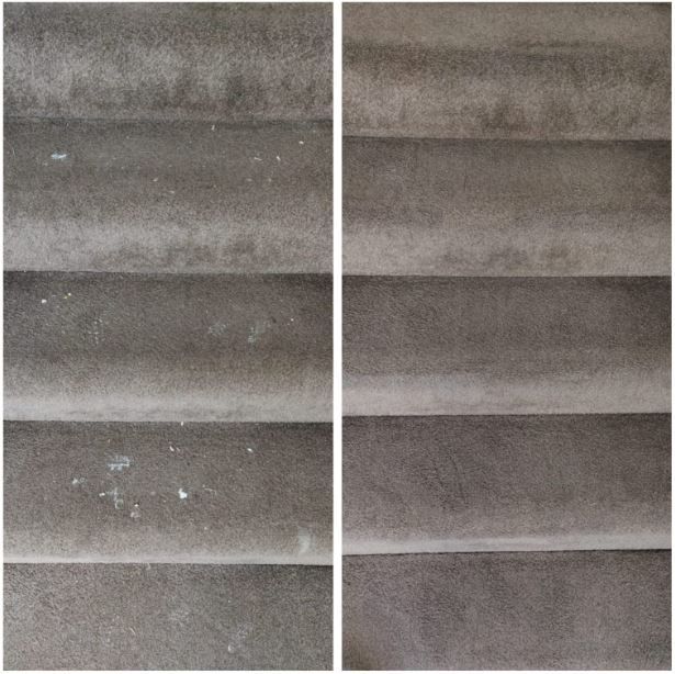 Floor Wizard Carpet Cleaning