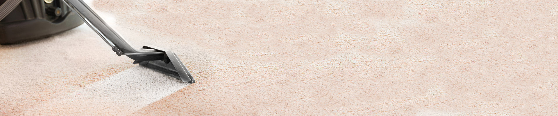 Carpet Cleaners Near Me