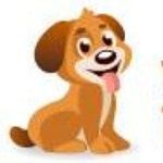 Pets Finator
