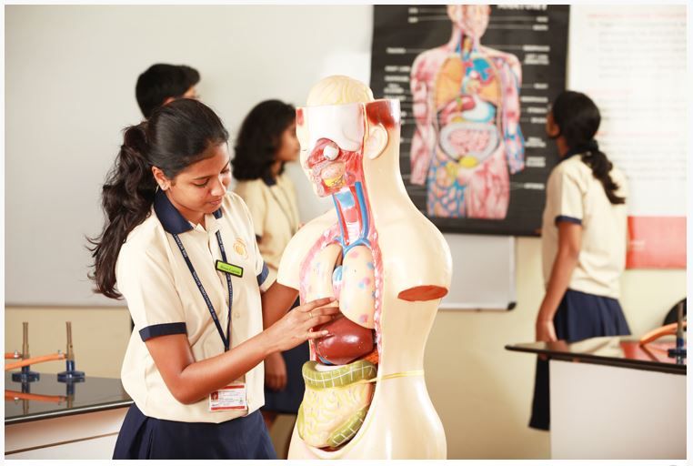 Edify Schools