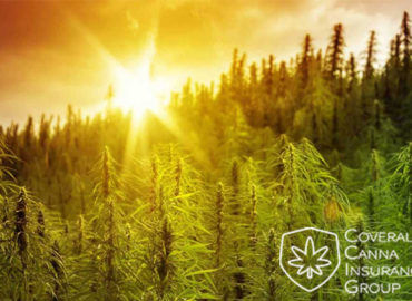 Coverall Canna Insurance Group – Hemp & CBD Business In &hellip;