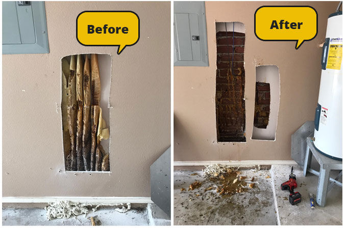 Budget Bee Removal