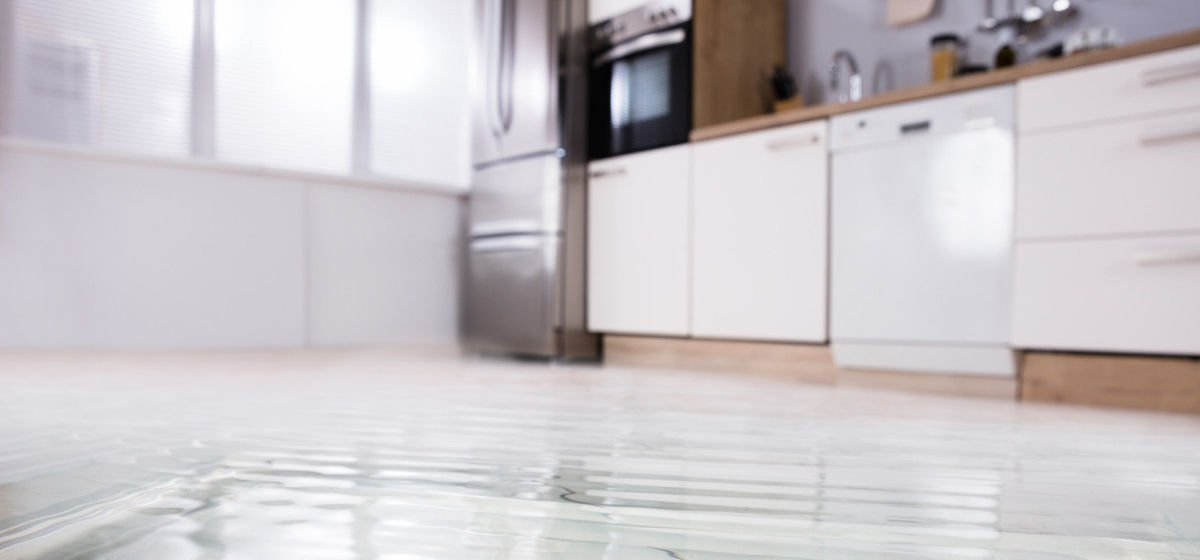 Water Damage Removal Brooklyn