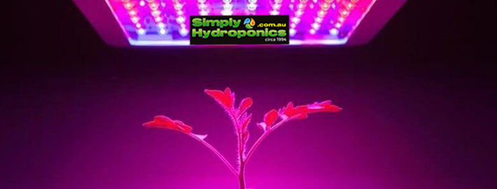Led Grow Lights Melbourne, Led Lights Hydroponics
