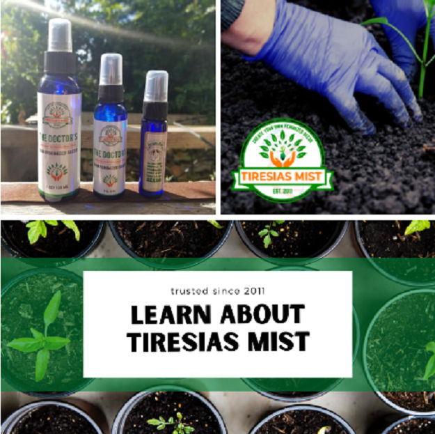 Tiresias Mist