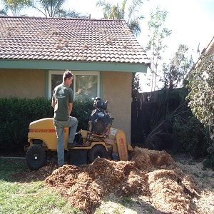 Roley's Tree Care & Landscaping Service Norco – Dale Roley Consulting Arborist