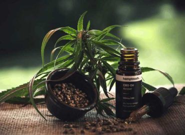 Coverall Canna Insurance Group – Hemp & CBD Business In &hellip;