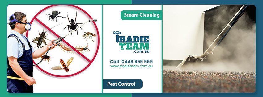 Tradie Team – Pest Control Melbourne