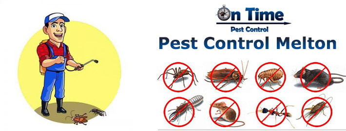 On Time Pest Control
