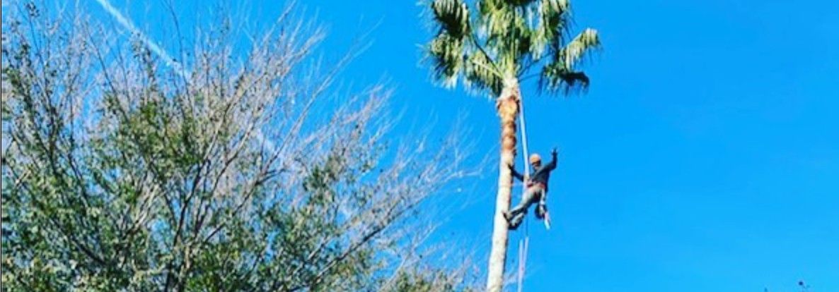 SkyView Tree Service