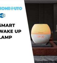 HOMEAUTO SOLUTIONS PTE. LTD.