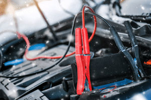 Red Deer Elite Towing