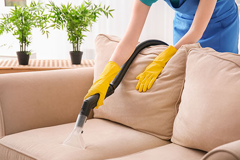 Carolina Rug And Upholstery Cleaning