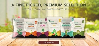 Greenspade