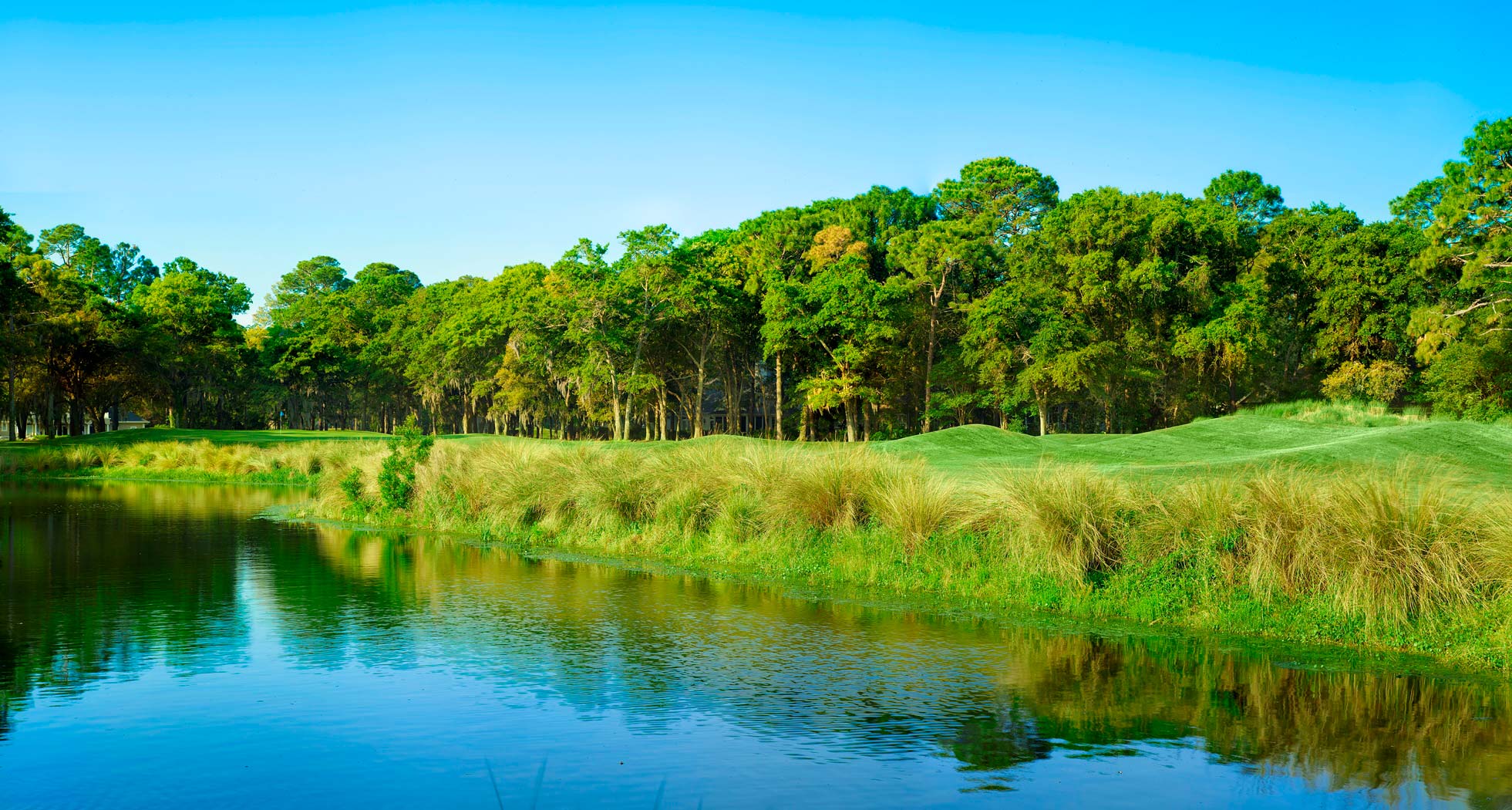 The Island Golf School