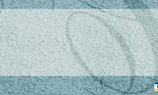 Huntingon Beach Carpet Cleaning