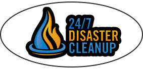 Disaster Cleanup Pingree