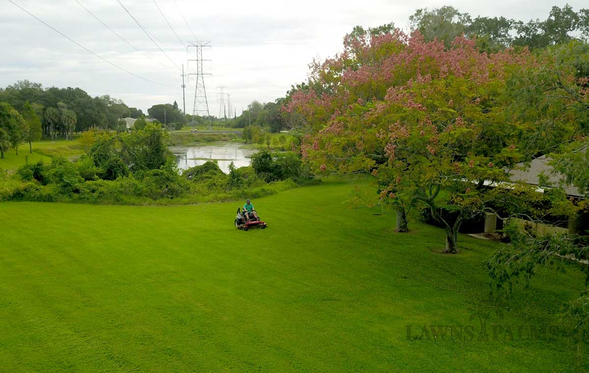 Lawns and Palms, Inc.