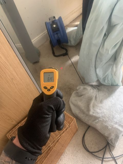 Bed Bug Action Force