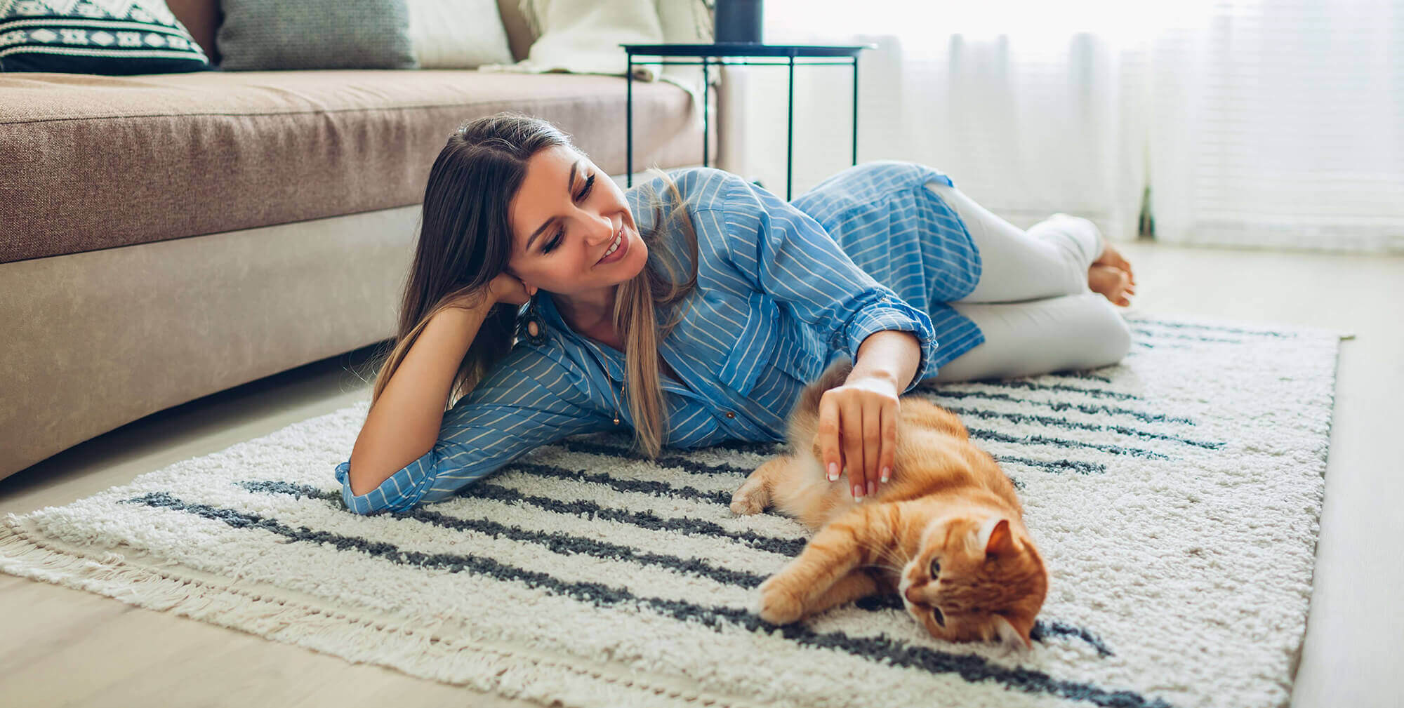 Carpet & Rug Cleaning Service Elmsford