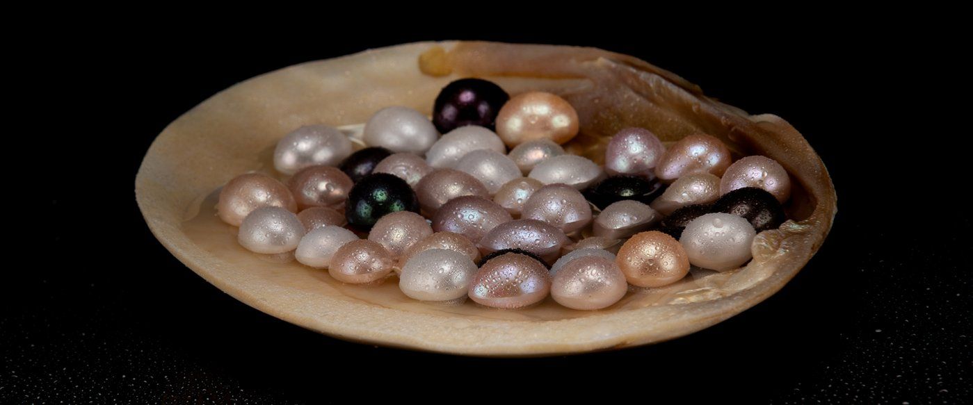 Akuna Pearls