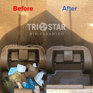 TriStar Bin Cleaning