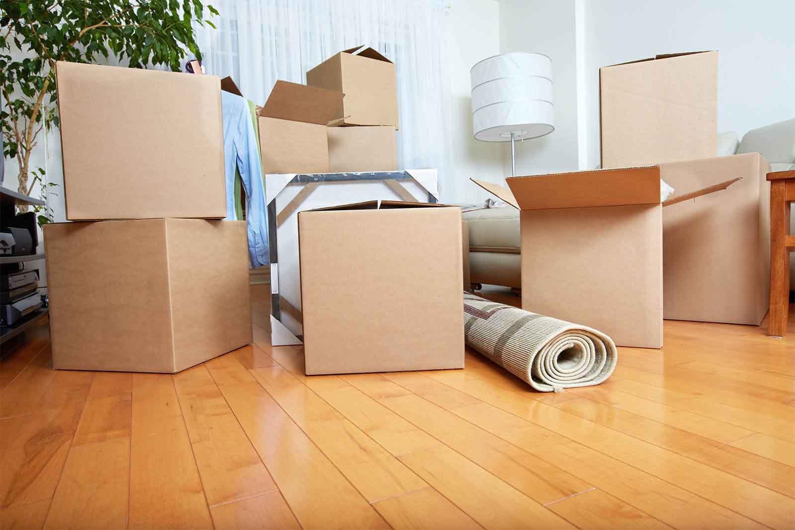 Removalists Frankston