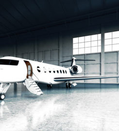 Flight King – Private Jet Charter Rental