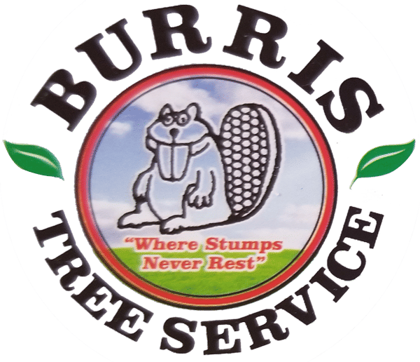 Burris Tree Service