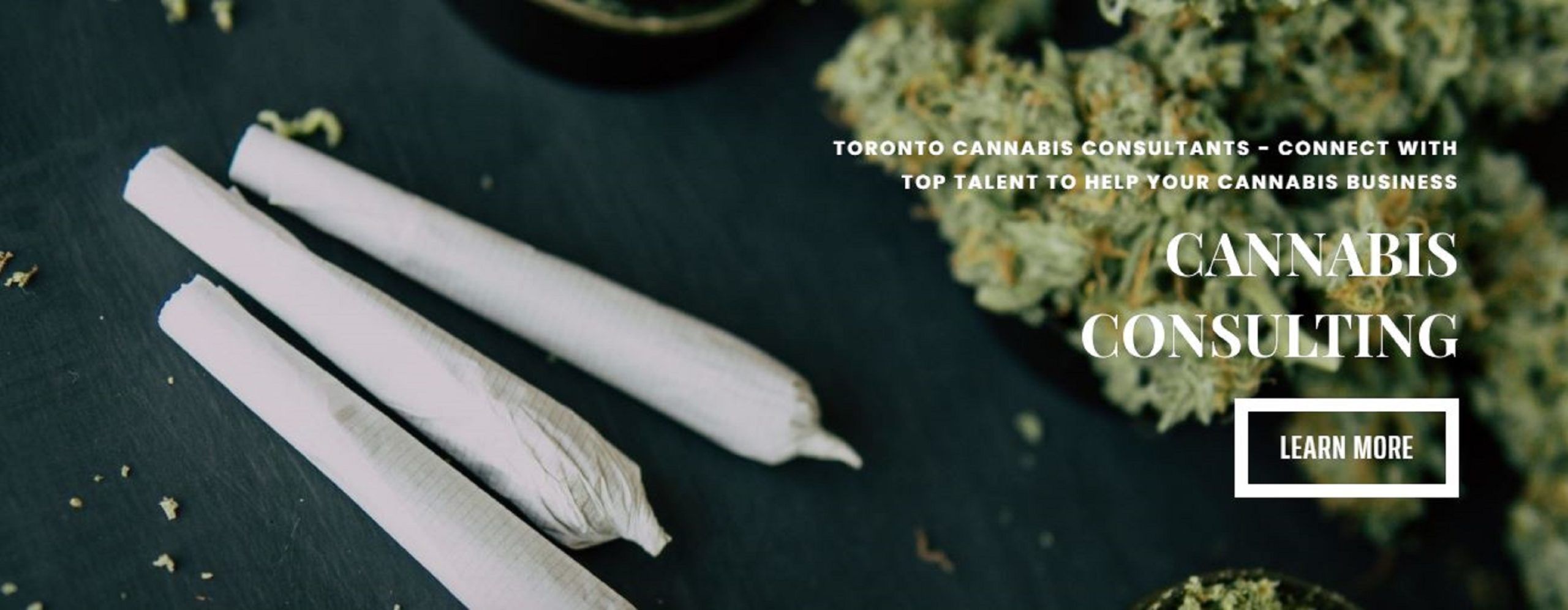 Toronto Cannabis Consultants
