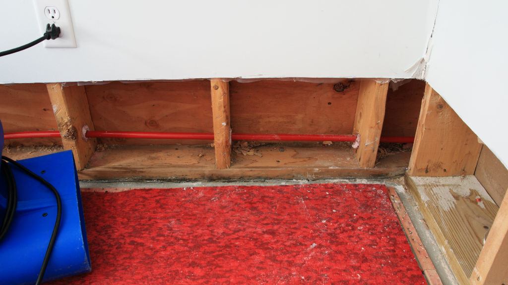 A&L water restoration and mold remediation