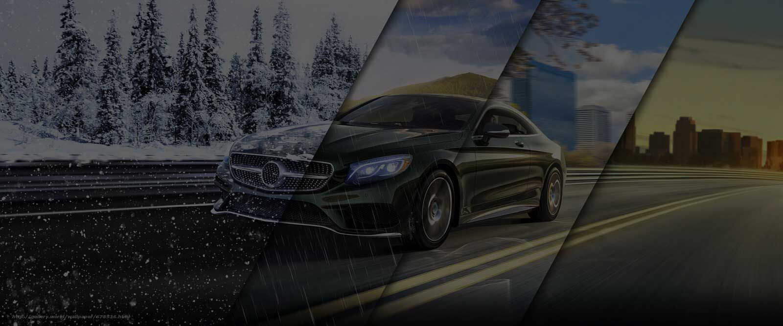 Auto Sunshades