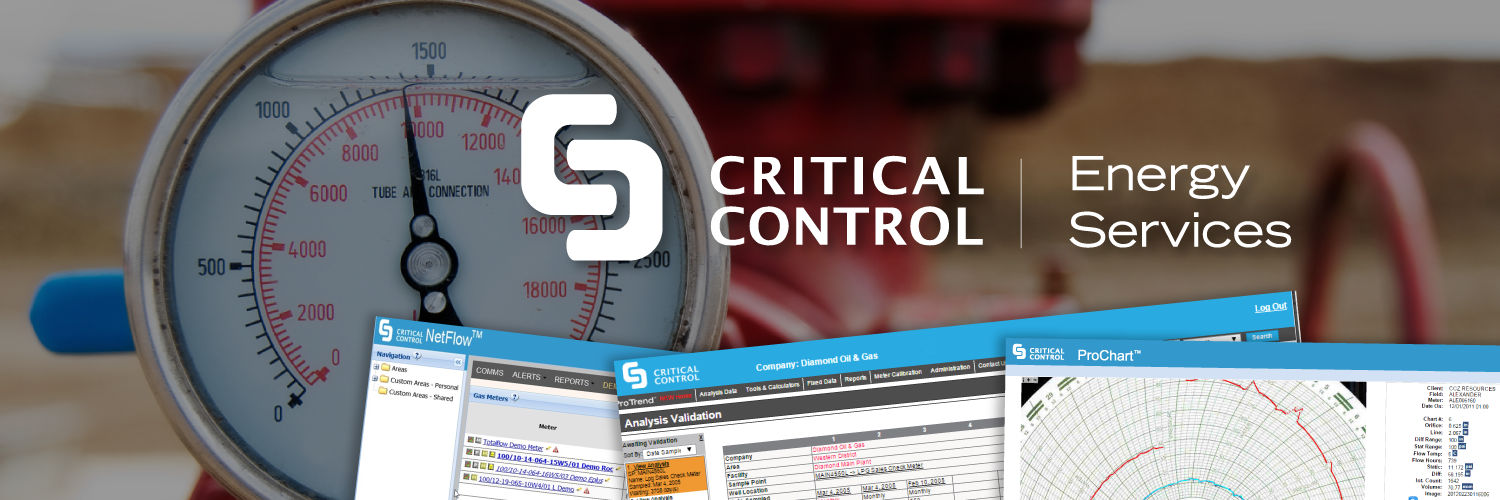 Critical Control Energy Services