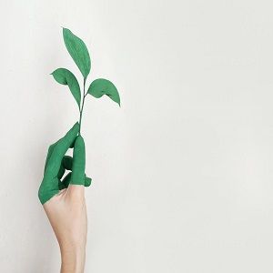 Urban Ethos