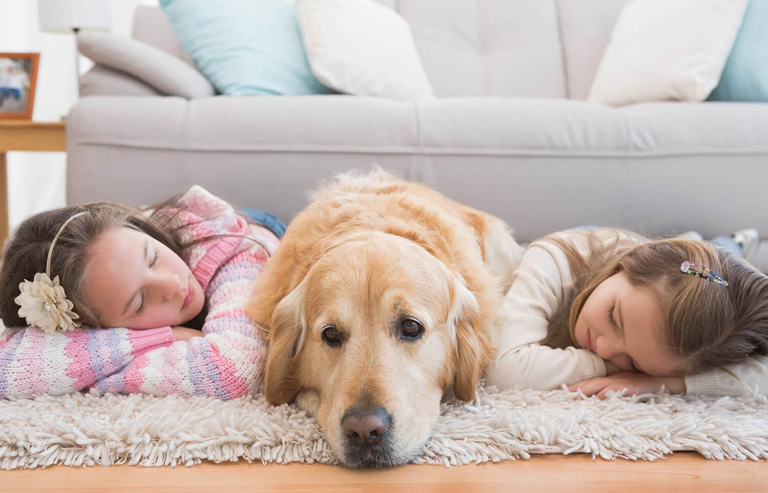 Rug Cleaning Dix Hills