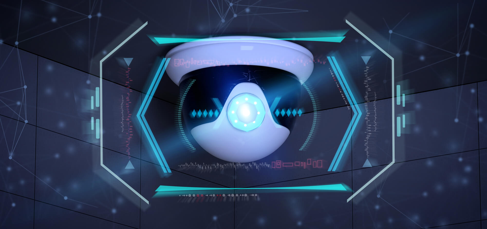 Video Surveillance System