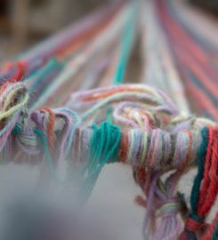 Carpet & Rug Cleaning Service Harrison