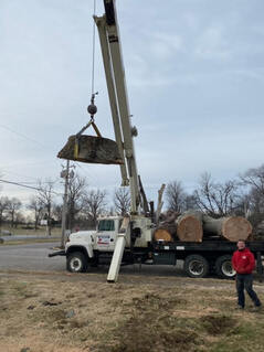 Tree Trimming Evansville