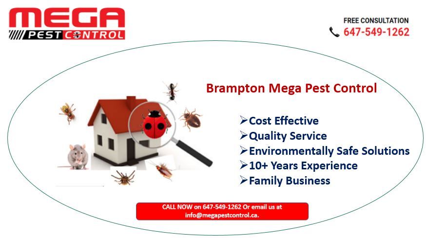 Mega Pest Control Brampton