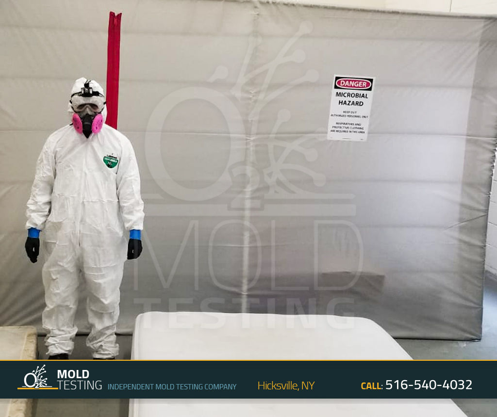 o2 Mold Testing