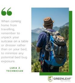 GreenLeaf Pest Control